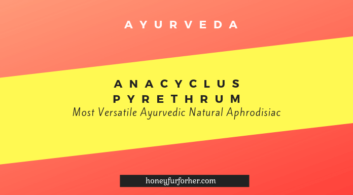 Anacyclus Pyrethrum Akarkara Feature Image