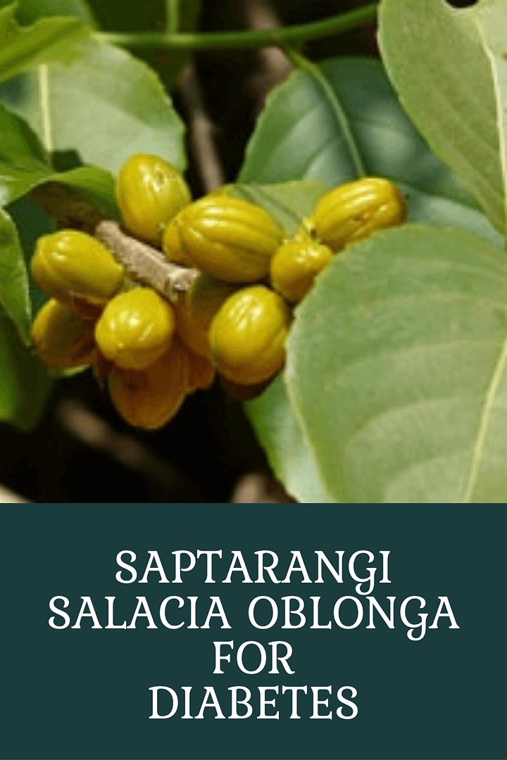 Saptarangi Salacia Oblonga For Diabetes Pinterest Graphic Pin