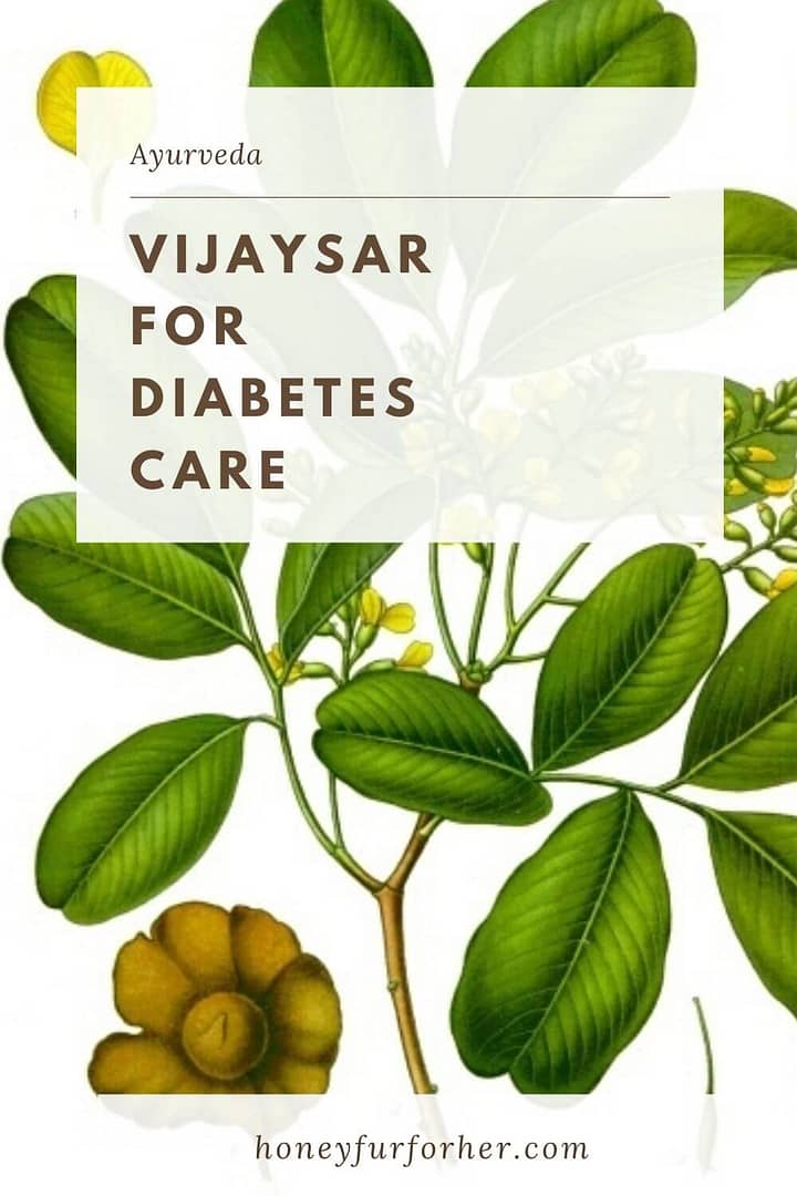 Vijaysar Pinterest Pin Graphic