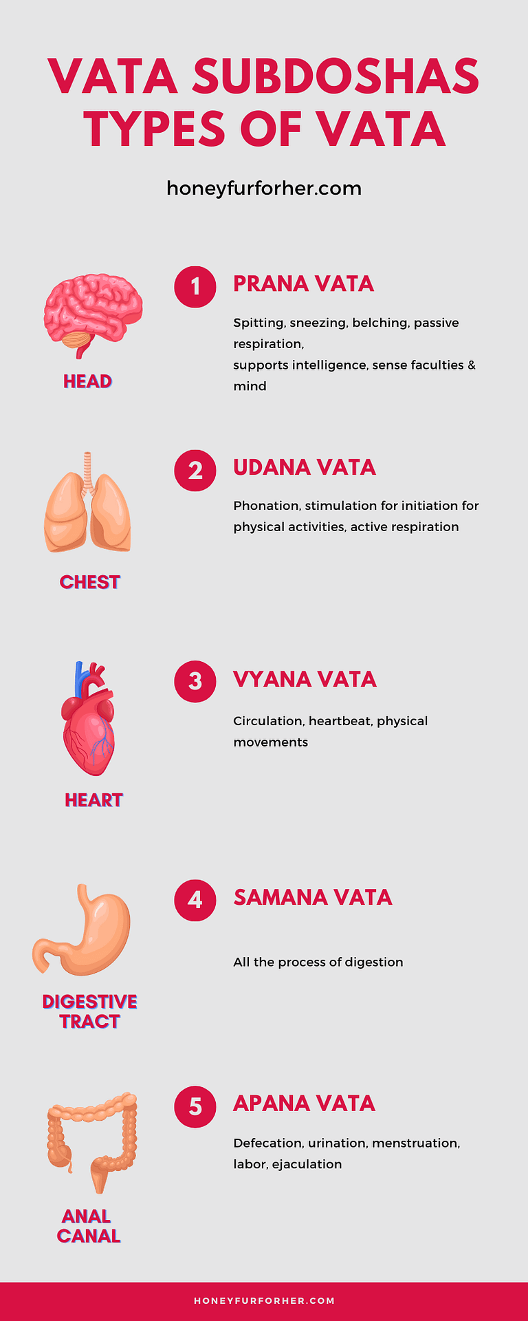 Type of Vata In Human Body