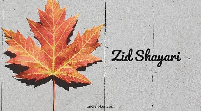 Zid Shayari Feature Image