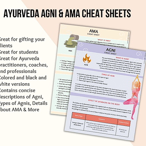 Ayurveda Agni + Ama Cheat Sheet Guide, Colored, Black and White Set Guide, Educational Ayurveda Practitioner Coach, Client Gift