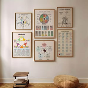 Chinese Medicine Posters Set of 6
